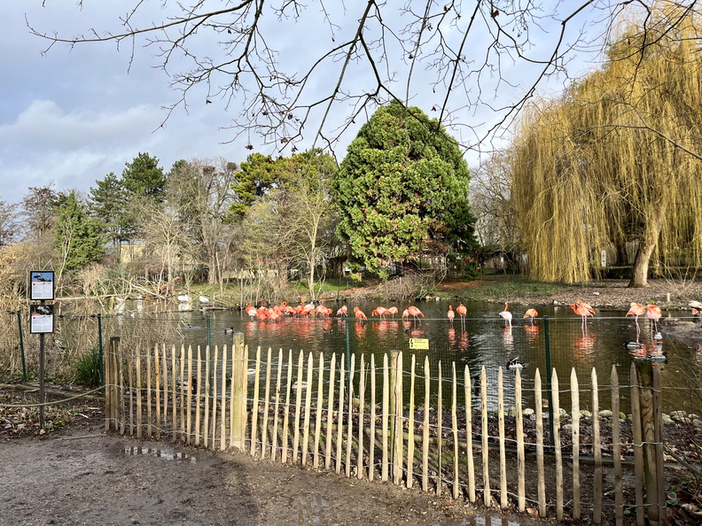 23-01-09 12-17-58 3871